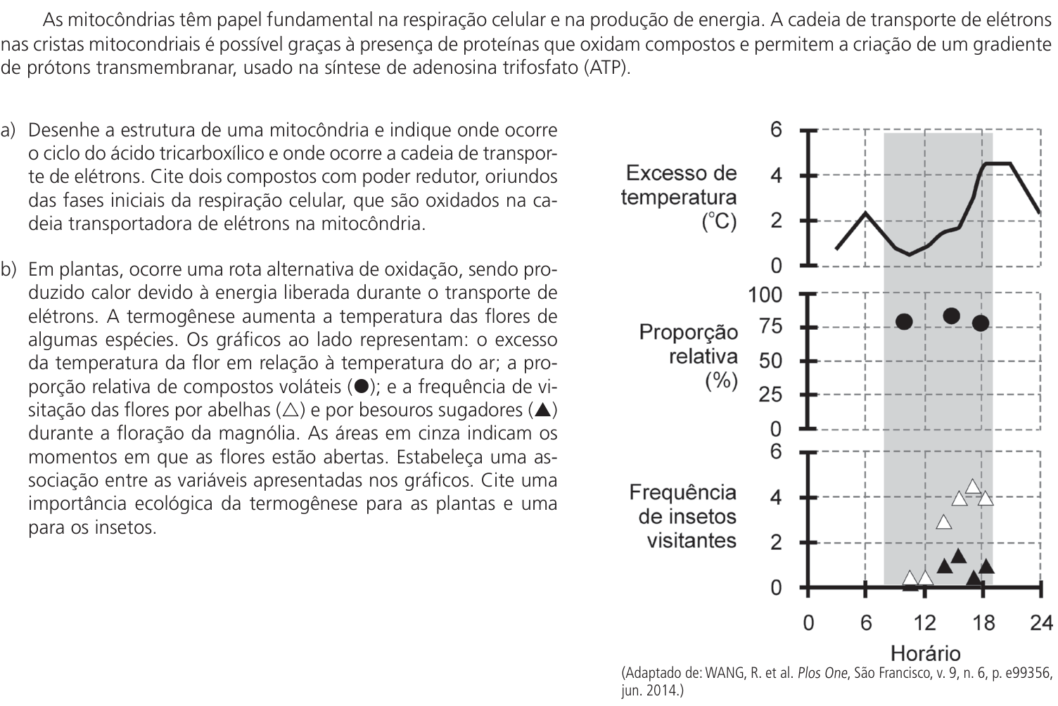 Questão 11 no caderno CB da 2ª fase da UNICAMP 2024