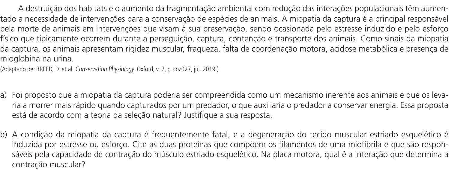 Questão 12 no caderno CB da 2ª fase da UNICAMP 2024