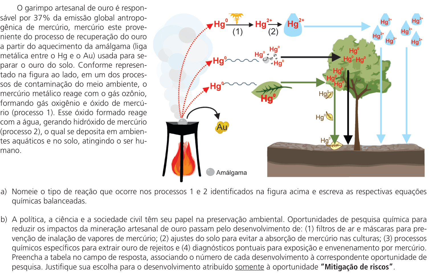 Questão 15 no caderno CB da 2ª fase da UNICAMP 2024
