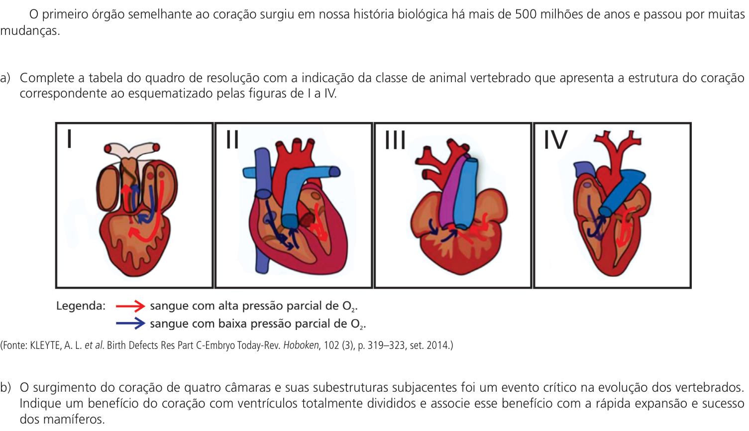 Questão 12 no caderno CB da 2ª fase da UNICAMP 2023