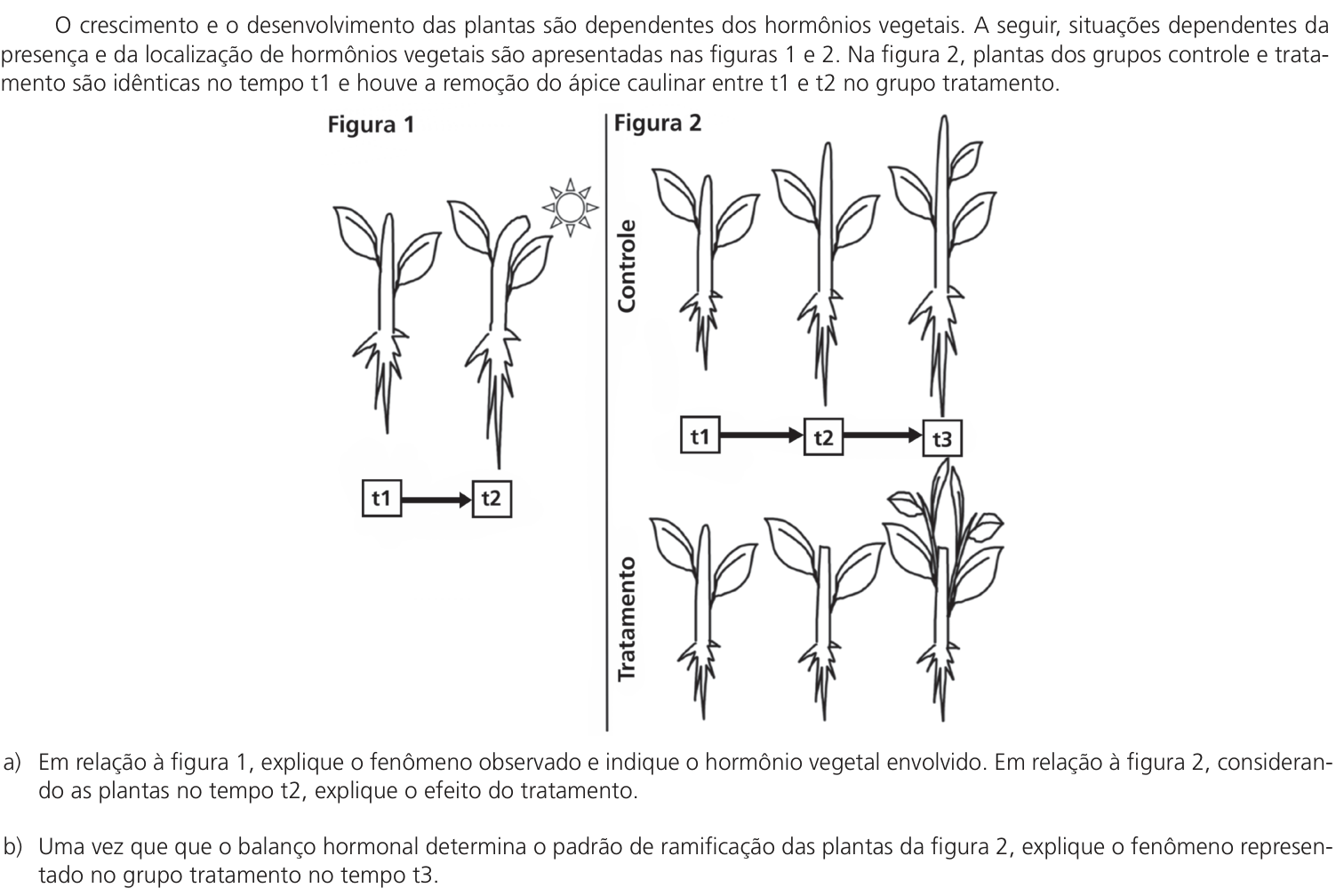 Questão 13 no caderno CB da 2ª fase da UNICAMP 2023