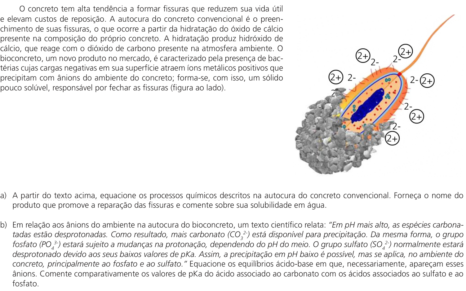 Questão 15 no caderno CB da 2ª fase da UNICAMP 2023