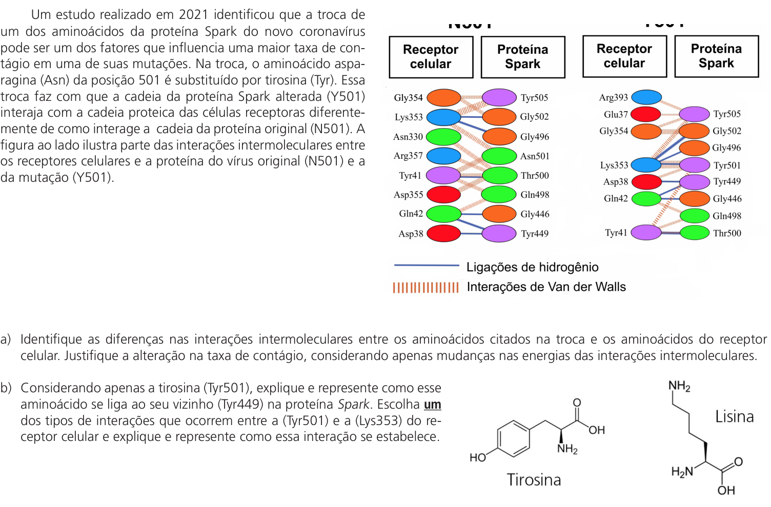 Questão 19 no caderno CB da 2ª fase da UNICAMP 2023
