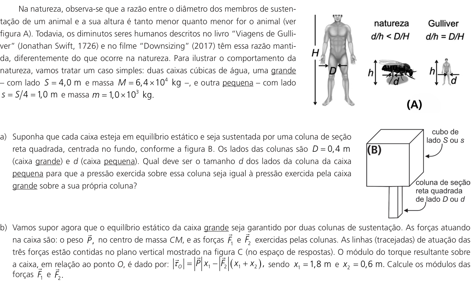 Questão 11 no caderno CE da 2ª fase da UNICAMP 2023