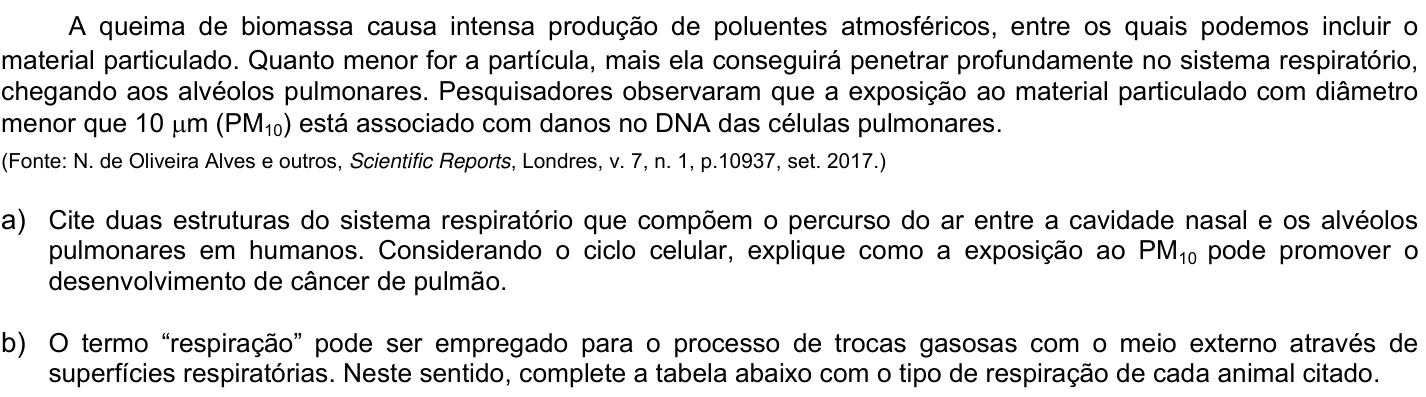 Questão 12 no caderno CB da 2ª fase da UNICAMP 2022