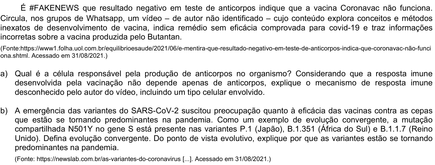 Questão 13 no caderno CB da 2ª fase da UNICAMP 2022