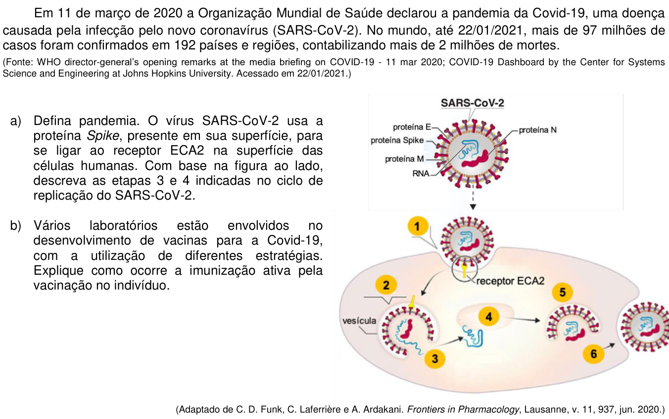 Questão 11 no caderno CB da 2ª fase da UNICAMP 2021