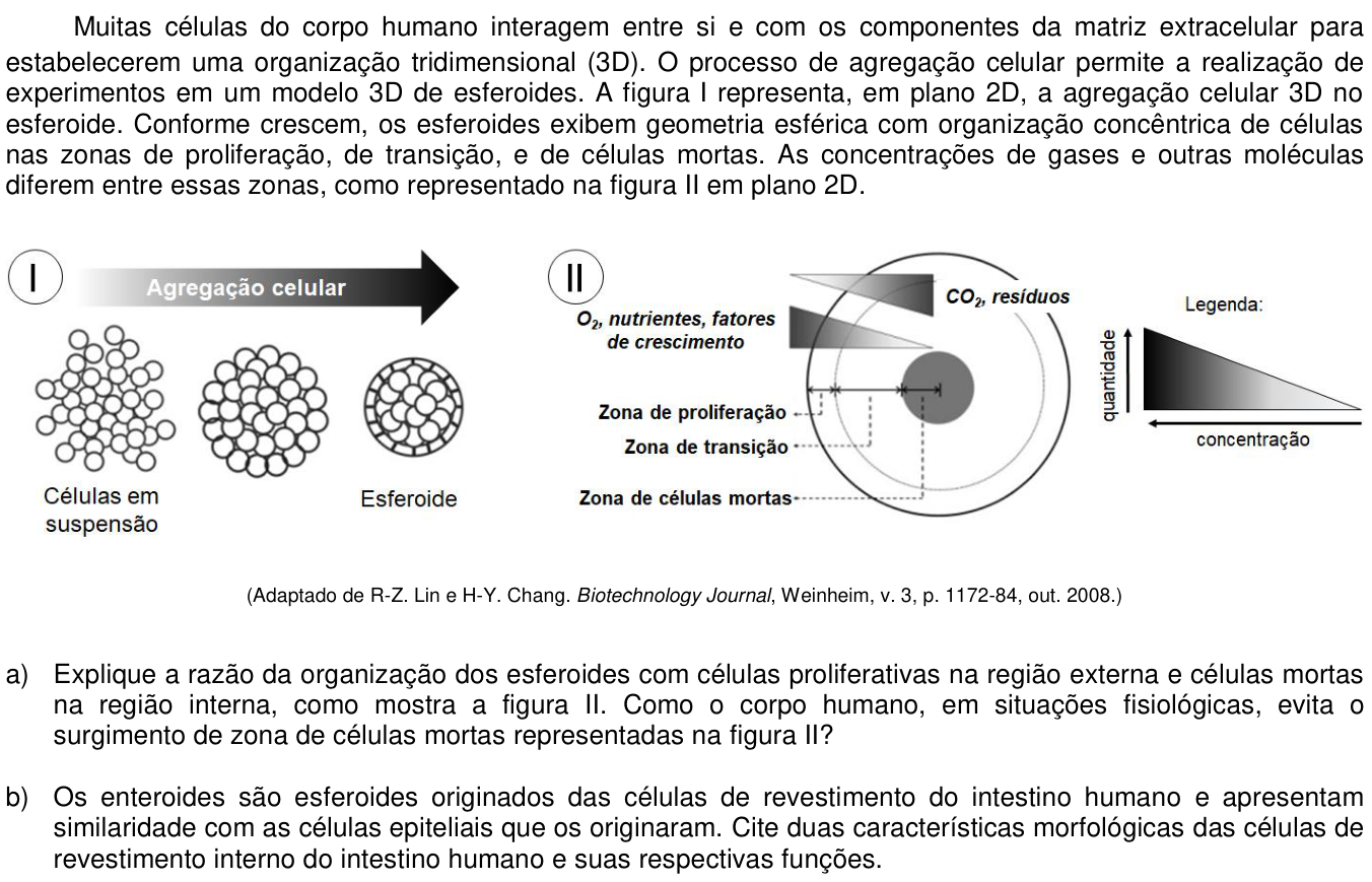 Questão 12 no caderno CB da 2ª fase da UNICAMP 2021