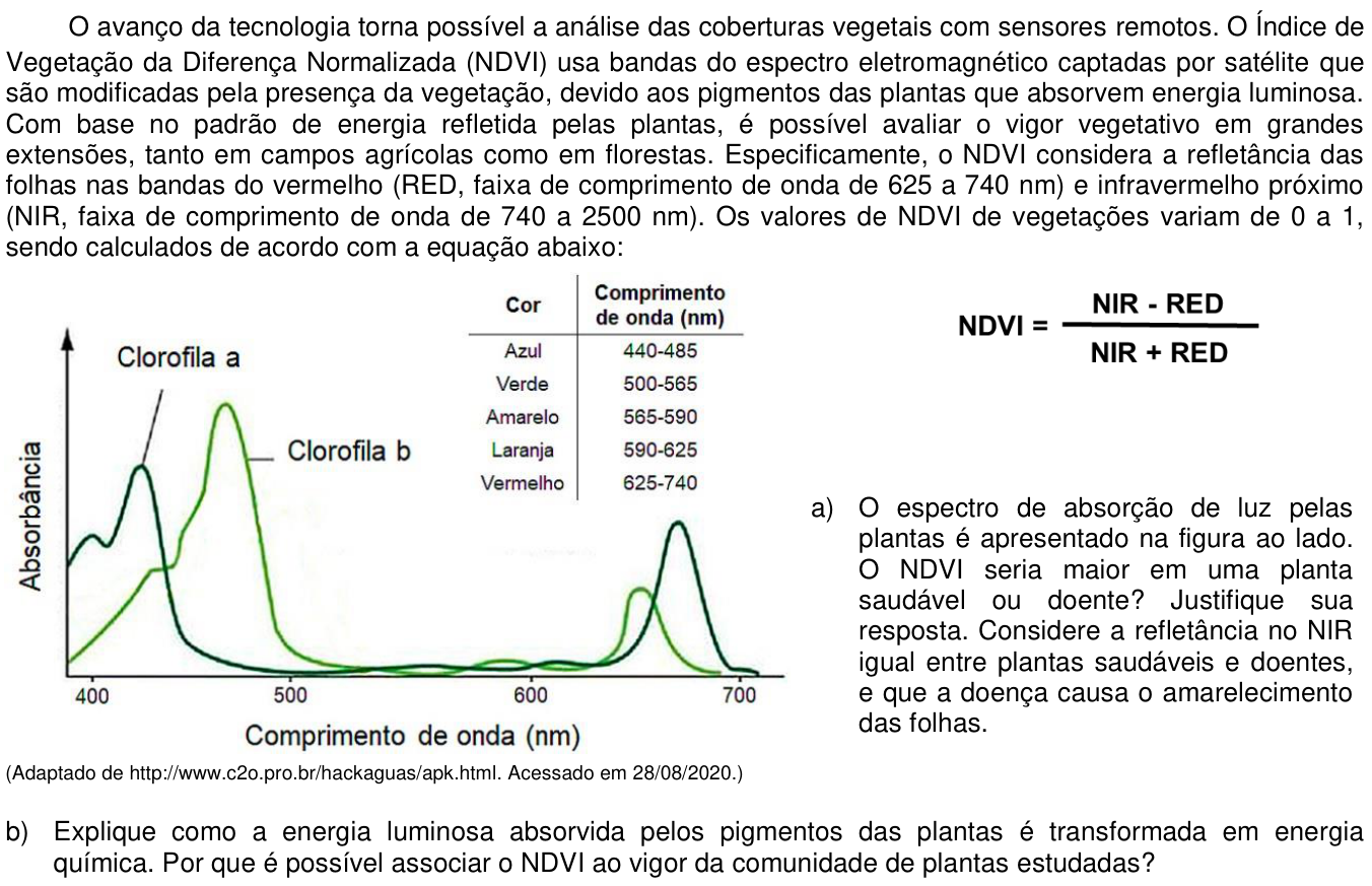 Questão 14 no caderno CB da 2ª fase da UNICAMP 2021