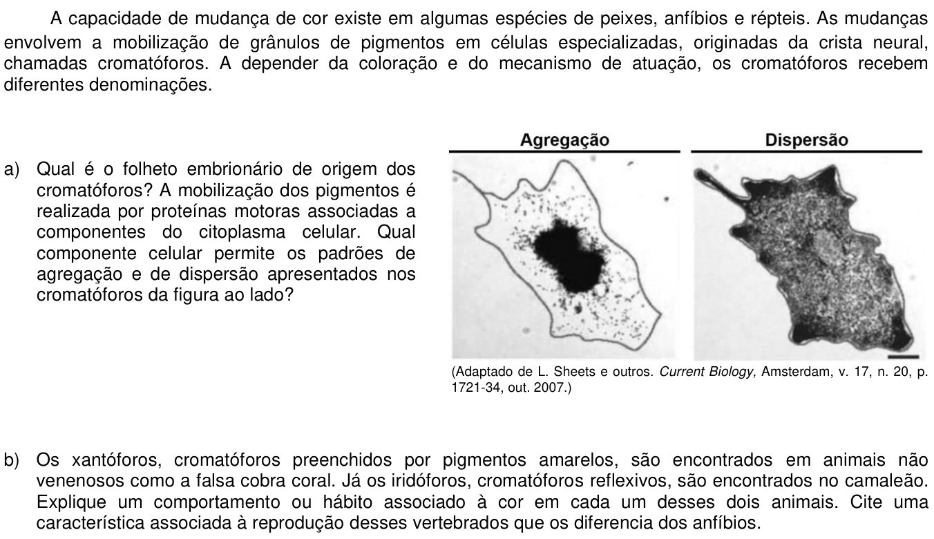 Questão 15 no caderno CB da 2ª fase da UNICAMP 2021