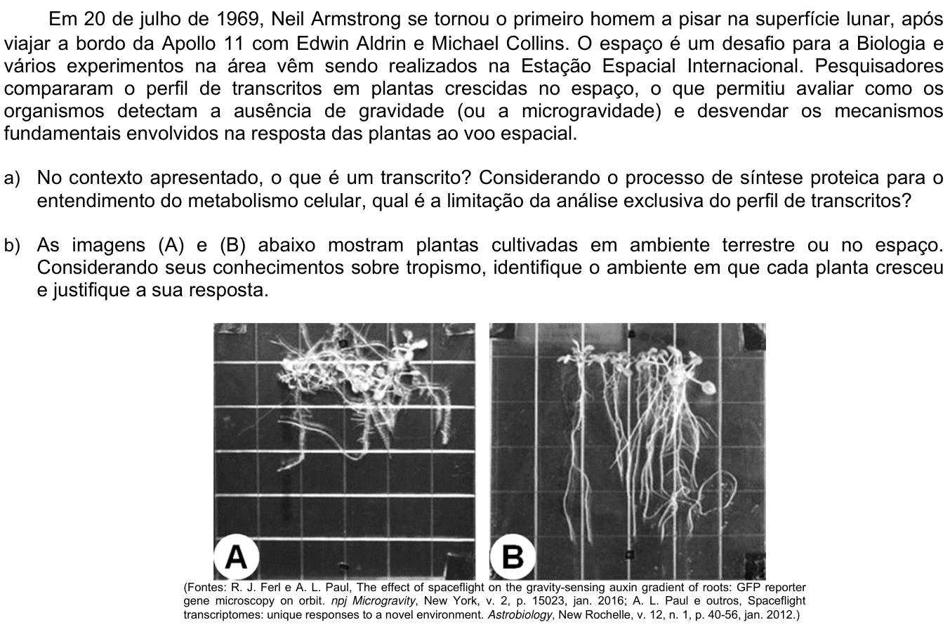 Questão 13 no caderno CB da 2ª fase da UNICAMP 2020