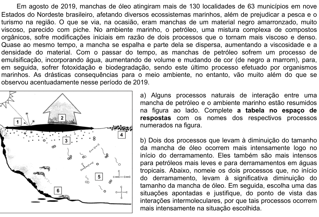 Questão 22 no caderno CB da 2ª fase da UNICAMP 2020