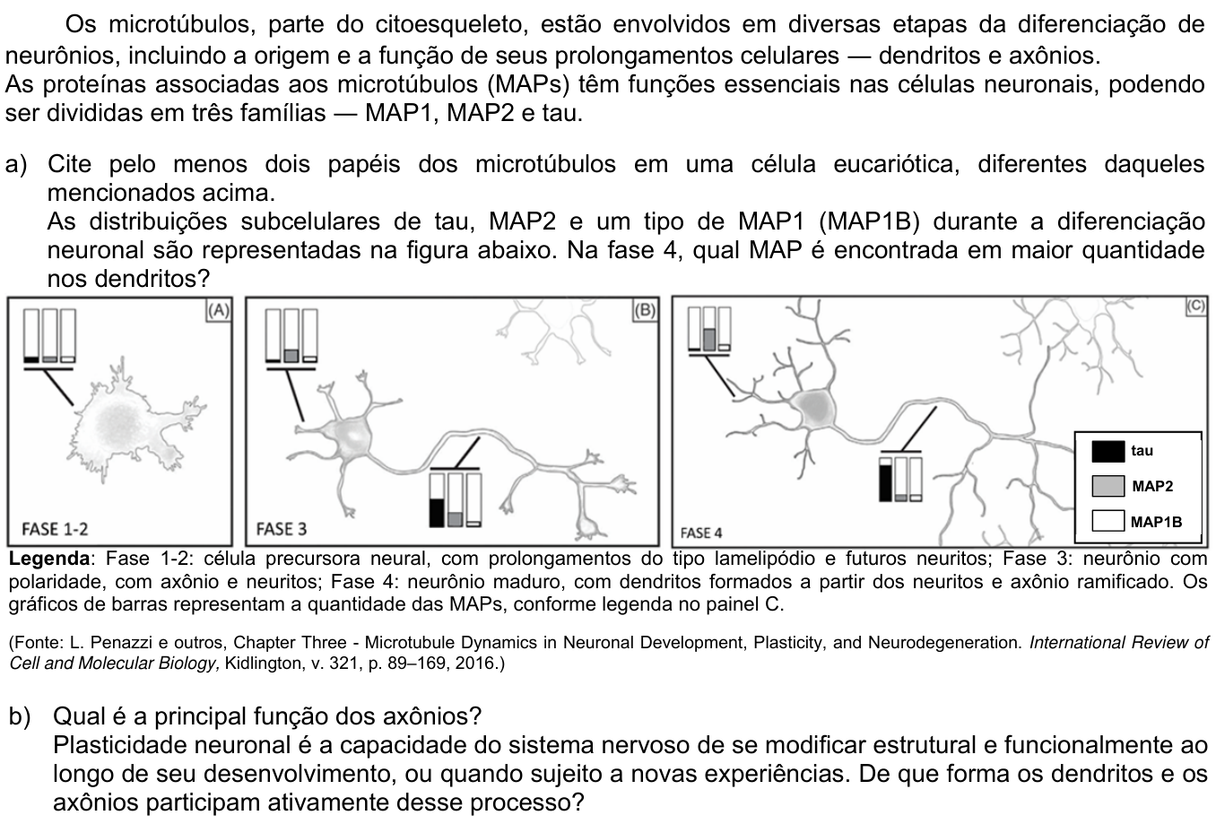 Questão 17 no caderno  da 2ª fase da UNICAMP 2019