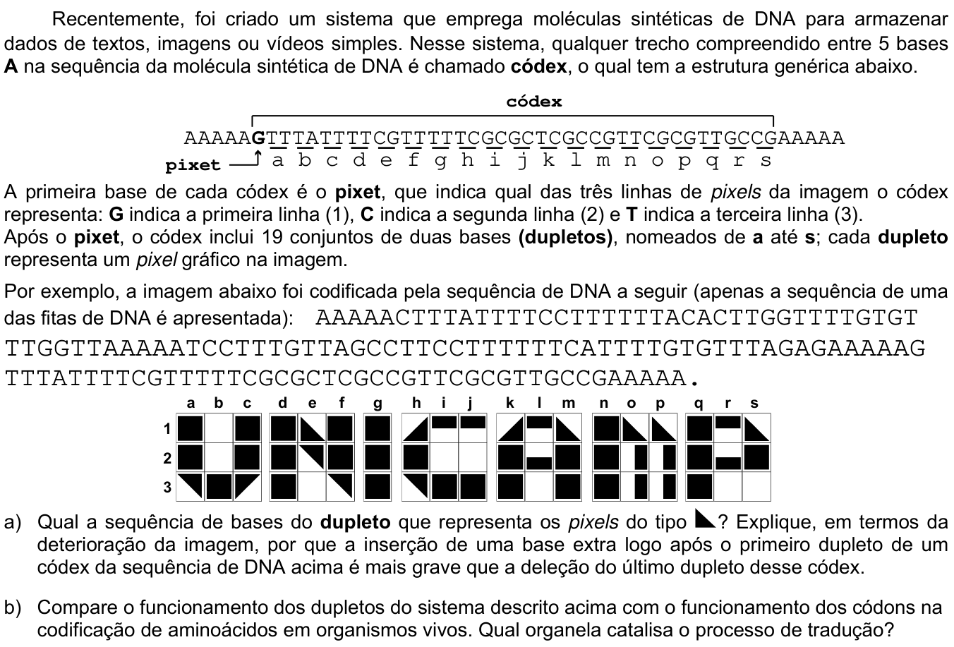 Questão 18 no caderno  da 2ª fase da UNICAMP 2019