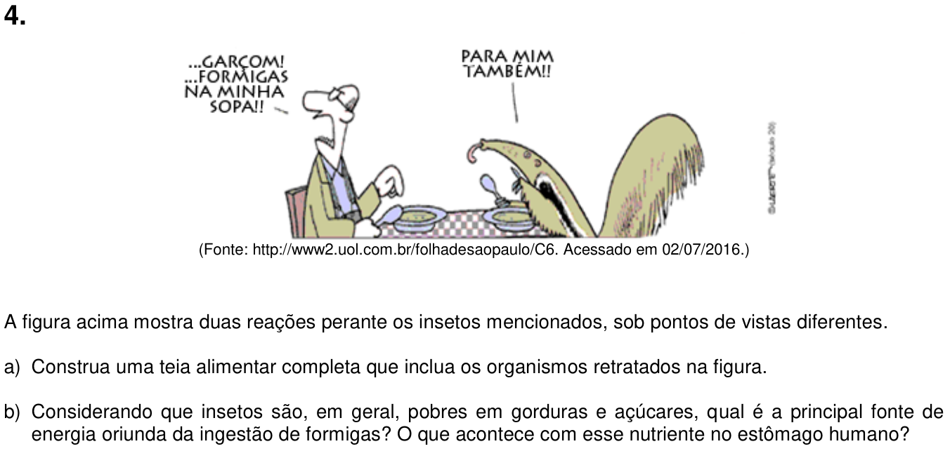 Questão 4 no caderno  da 2ª fase da UNICAMP 2017