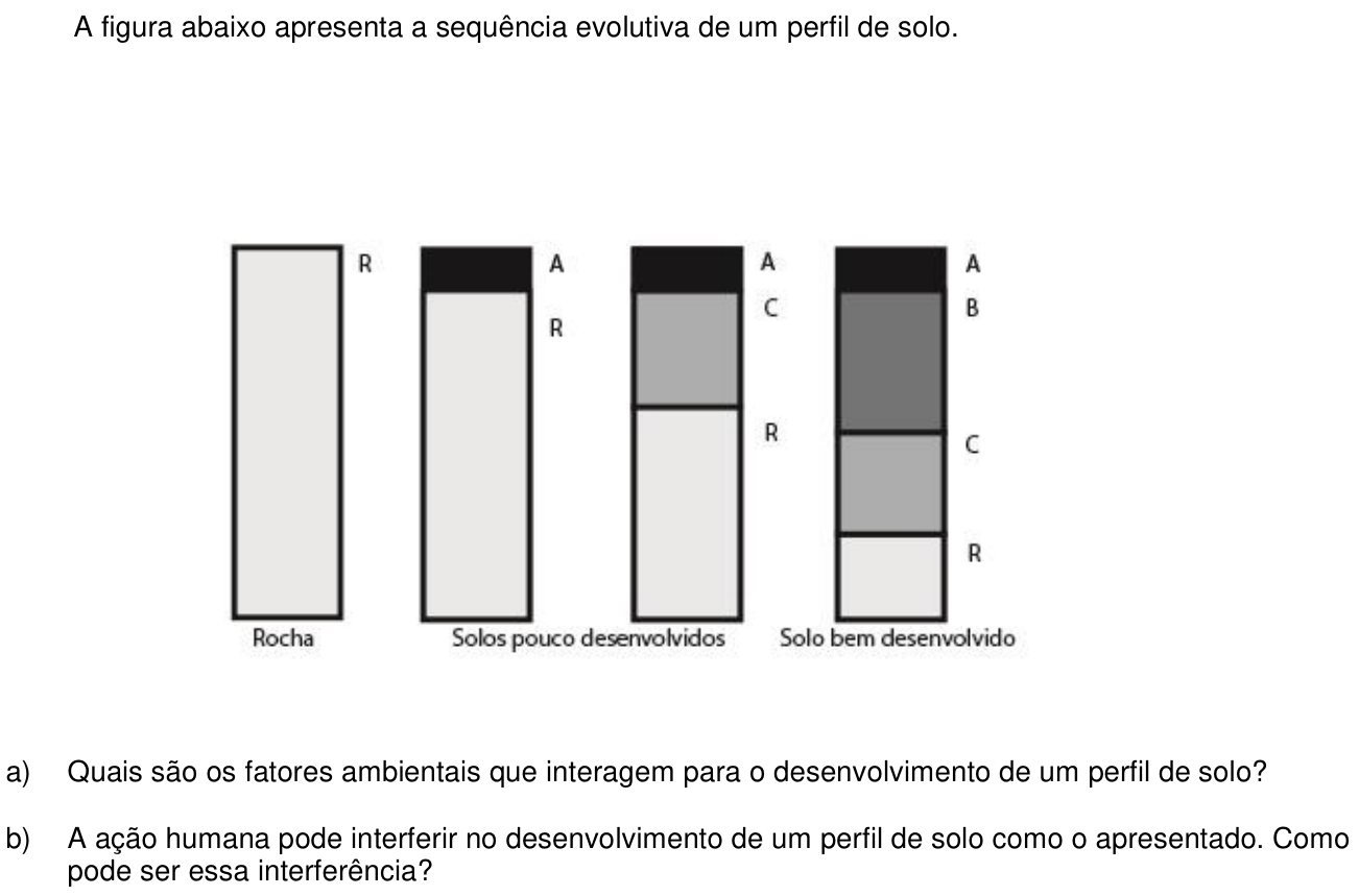 Questão 16 no caderno  da 2ª fase da UNICAMP 2016