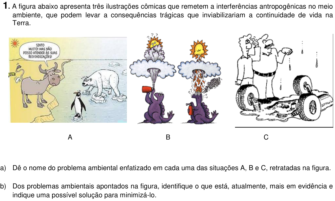 Questão 1 no caderno  da 2ª fase da UNICAMP 2016