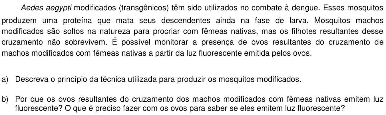 Questão 16 no caderno  da 2ª fase da UNICAMP 2016