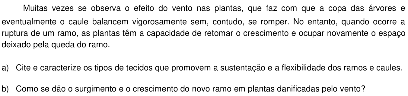 Questão 18 no caderno  da 2ª fase da UNICAMP 2016