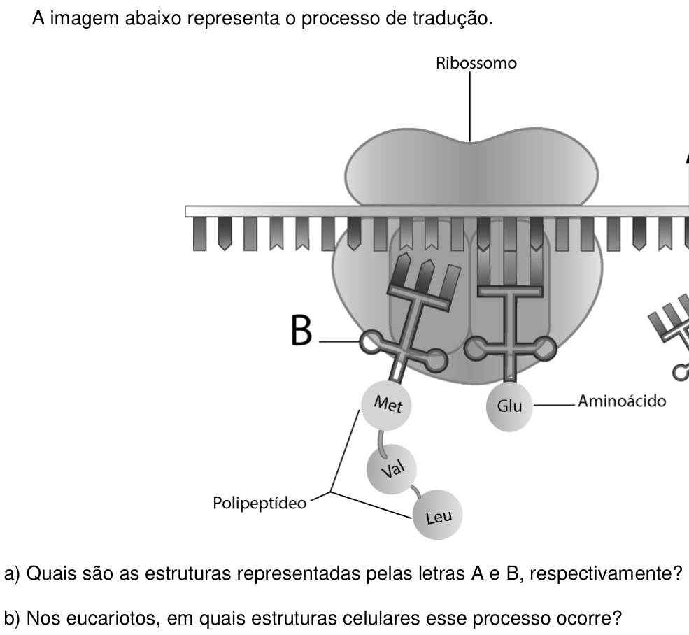 Questão 8 no caderno  da 2ª fase da UNICAMP 2014