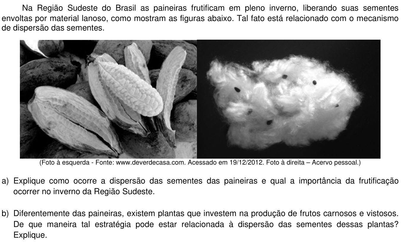 Questão 19 no caderno  da 2ª fase da UNICAMP 2013