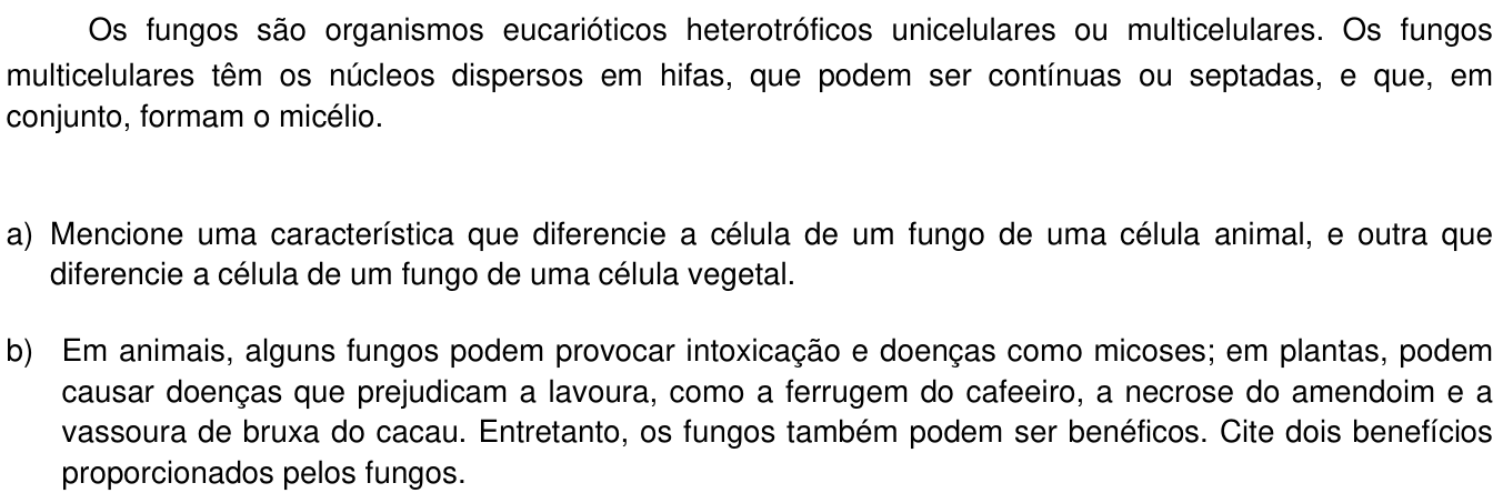 Questão 21 no caderno  da 2ª fase da UNICAMP 2013