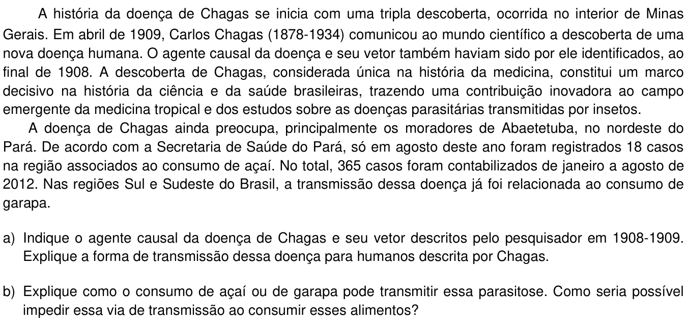 Questão 22 no caderno  da 2ª fase da UNICAMP 2013