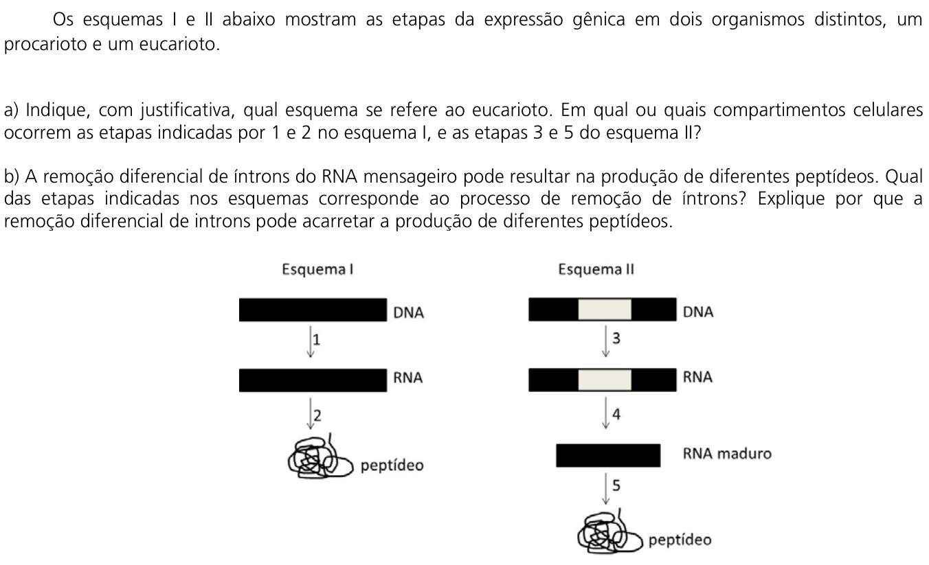 Questão 16 no caderno  da 2ª fase da UNICAMP 2012