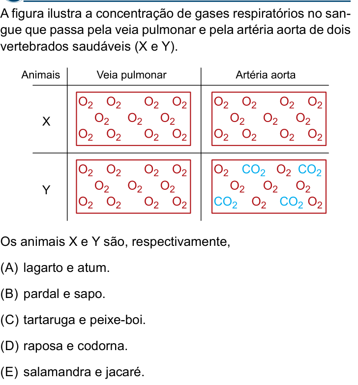 Questão 43 no caderno Conhecimentos Gerais da Santa Casa 2024