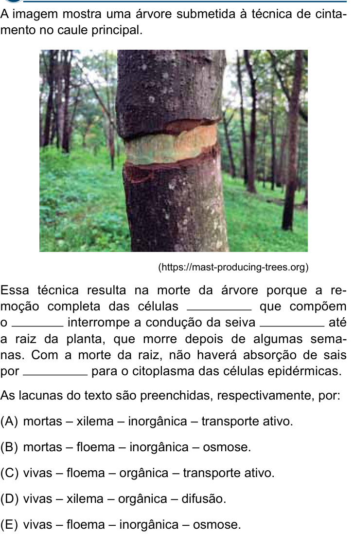 Questão 44 no caderno Conhecimentos Gerais da Santa Casa 2024