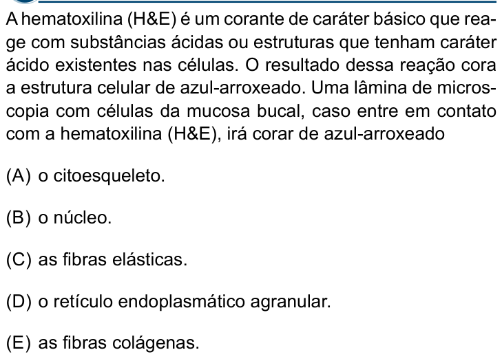 Questão 50 no caderno Conhecimentos Gerais da Santa Casa 2024