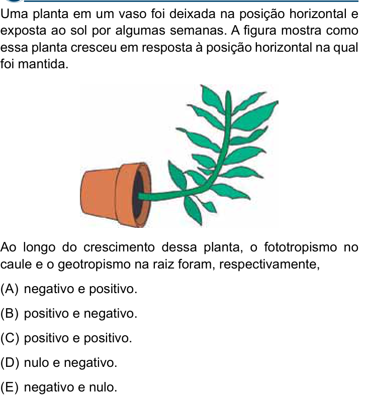 Questão 45 no caderno Conhecimentos Gerais da Santa Casa 2025