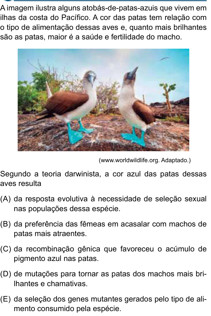 Questão 49 no caderno Conhecimentos Gerais da Santa Casa 2025
