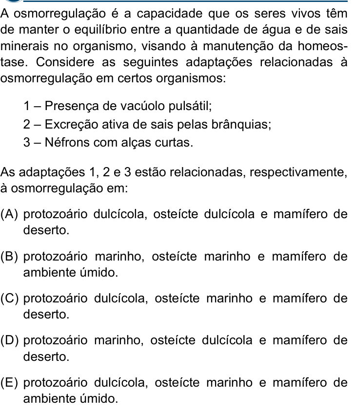 Questão 50 no caderno Conhecimentos Gerais da Santa Casa 2025