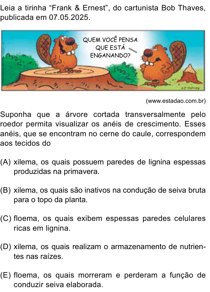 Questão 41 no caderno Conhecimentos Gerais da Santa Casa 2026