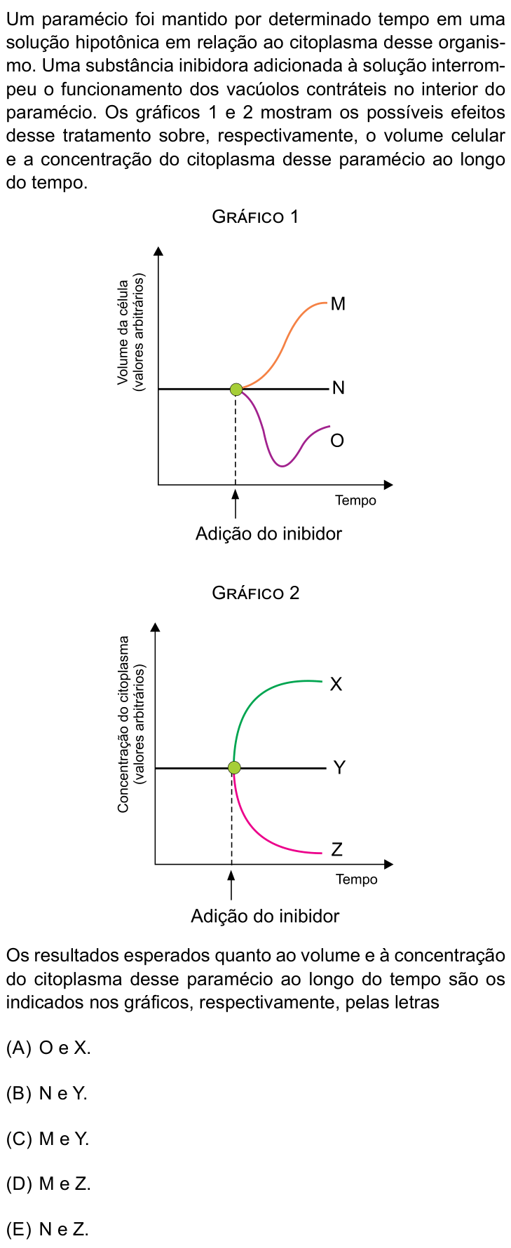Questão 43 no caderno Conhecimentos Gerais da Santa Casa 2026
