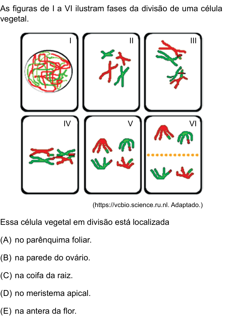 Questão 44 no caderno Conhecimentos Gerais da Santa Casa 2026