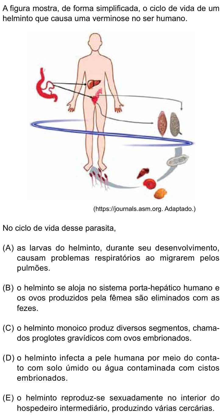 Questão 49 no caderno Conhecimentos Gerais da Santa Casa 2026