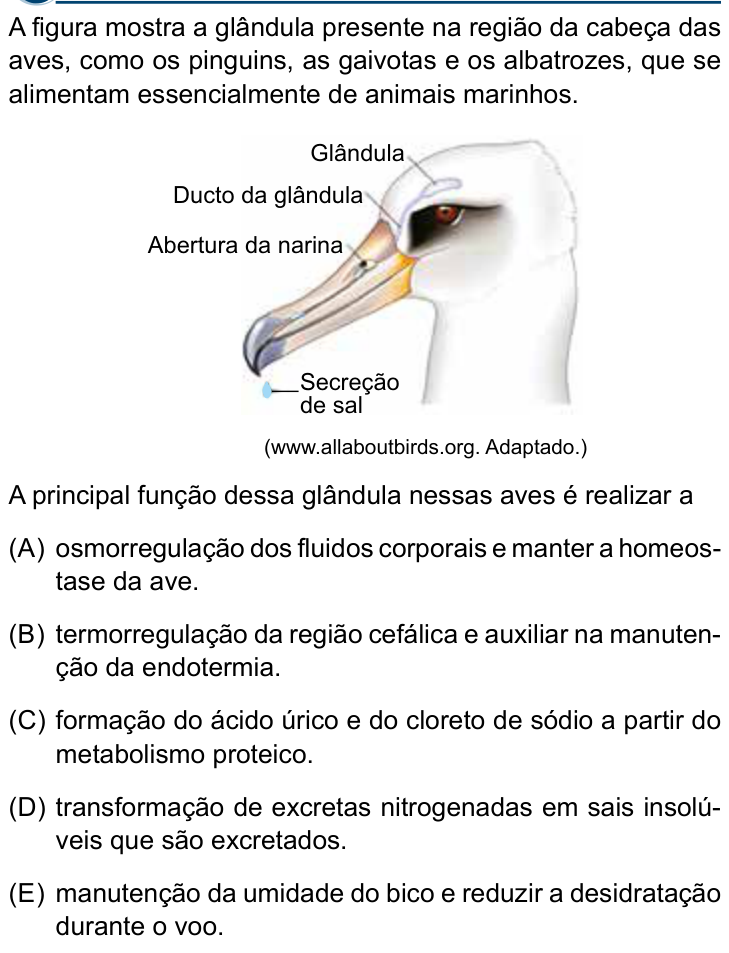 Questão 45 no caderno Conhecimentos Gerais da Santa Casa 2027
