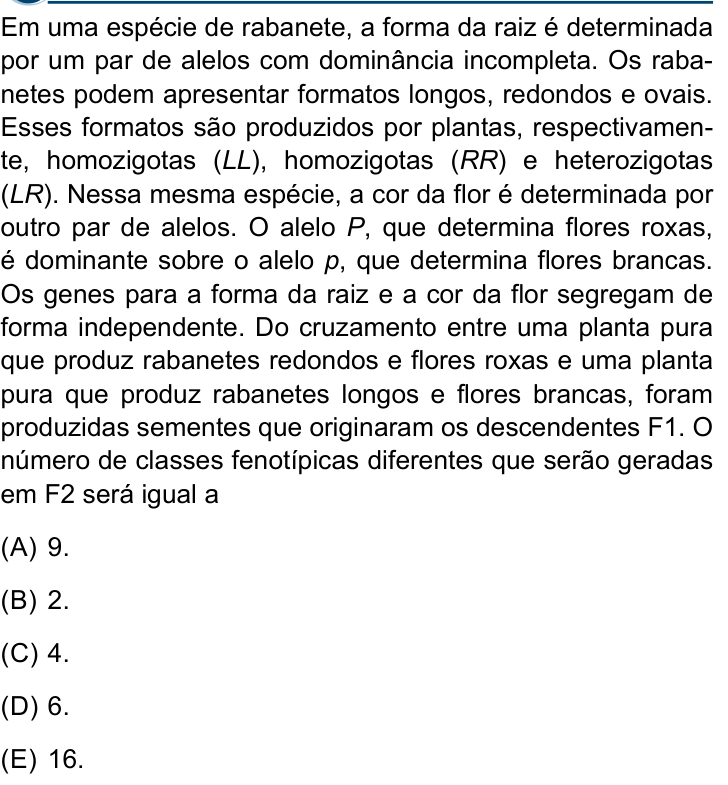 Questão 48 no caderno Conhecimentos Gerais da Santa Casa 2027