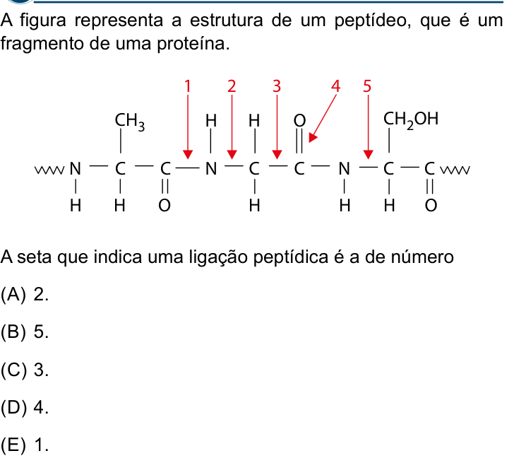 Questão 58 no caderno Conhecimentos Gerais da Santa Casa 2027