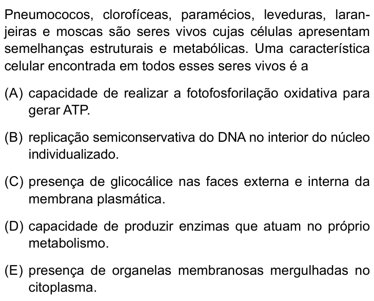 Questão 27 no caderno Prova I do Einstein 2023