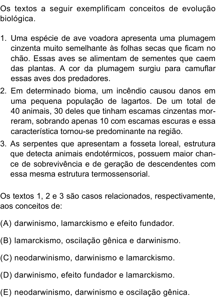 Questão 29 no caderno Prova I do Einstein 2023
