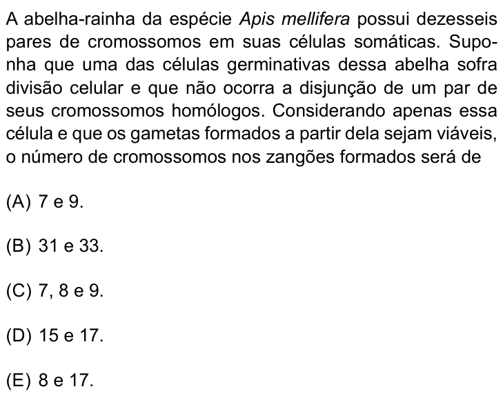 Questão 30 no caderno Prova I do Einstein 2023