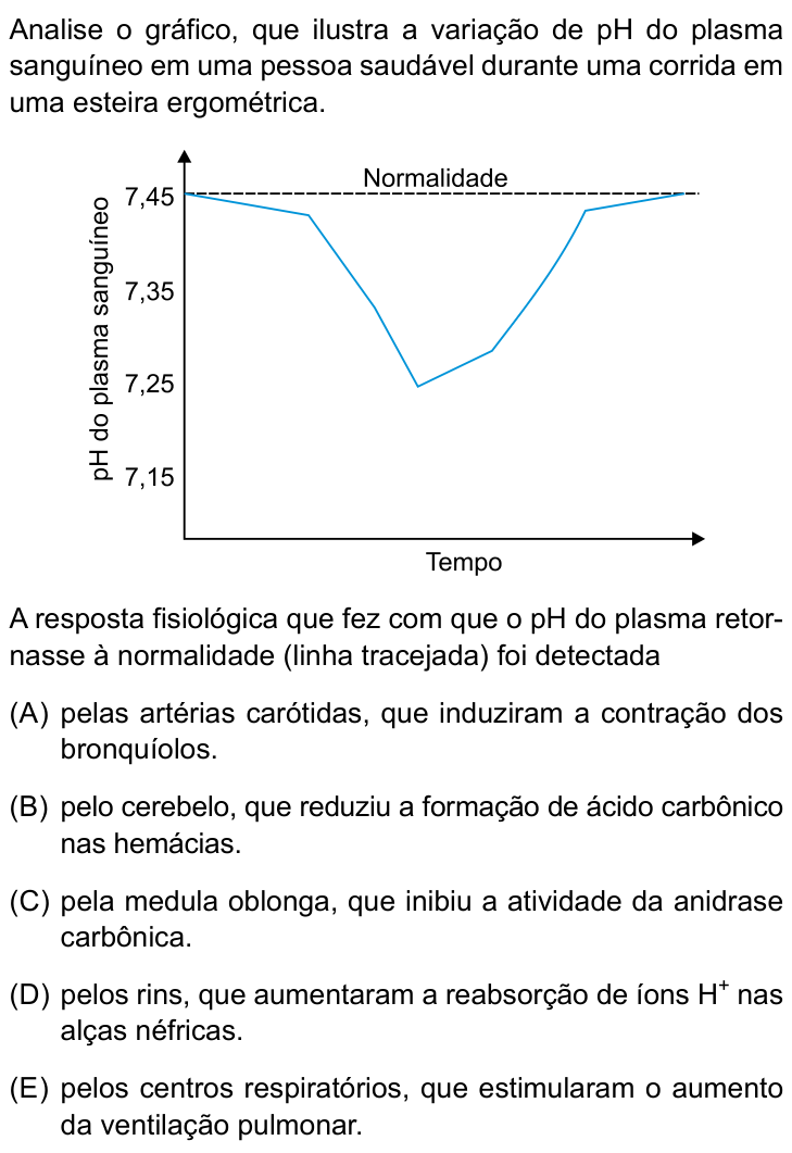 Questão 28 no caderno Prova I do Einstein 2024