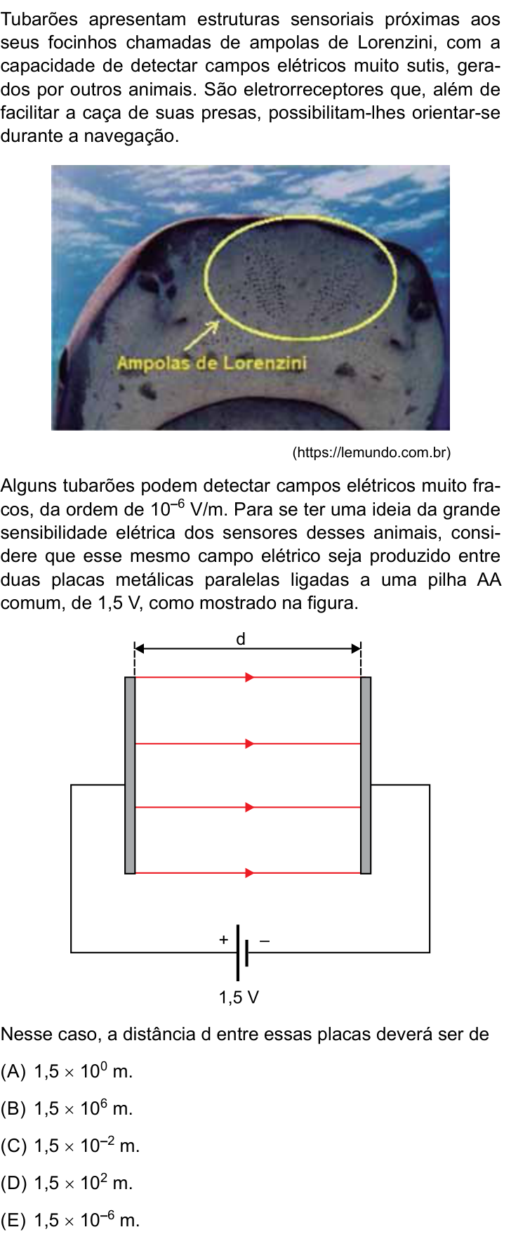 Questão 40 no caderno Prova I do Einstein 2024