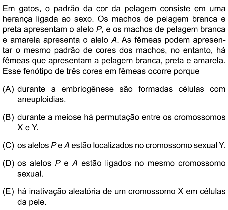 Questão 29 no caderno Prova I do Einstein 2025
