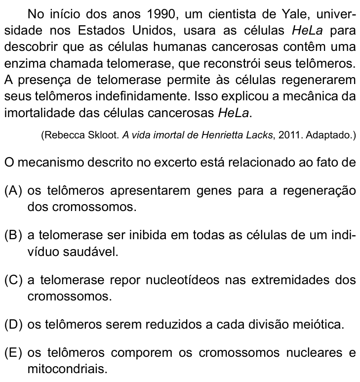 Questão 30 no caderno Prova I do Einstein 2025