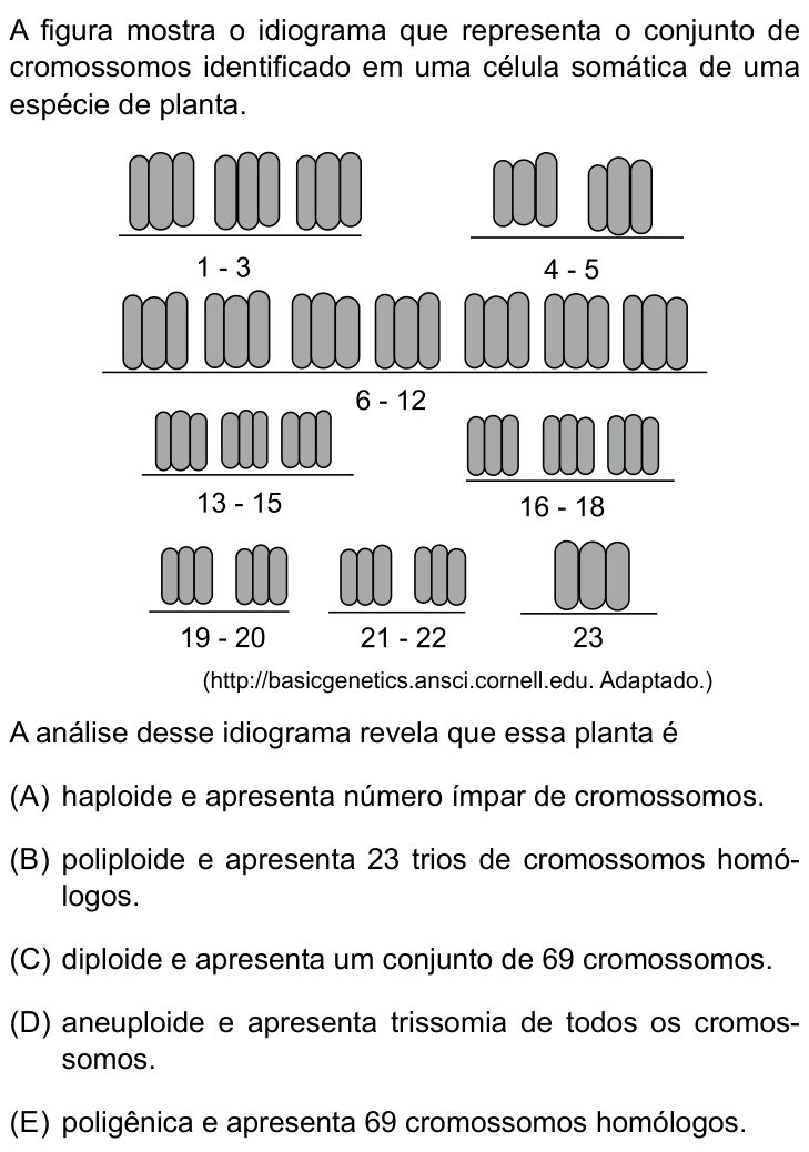 Questão 27 no caderno Prova I do Einstein 2026