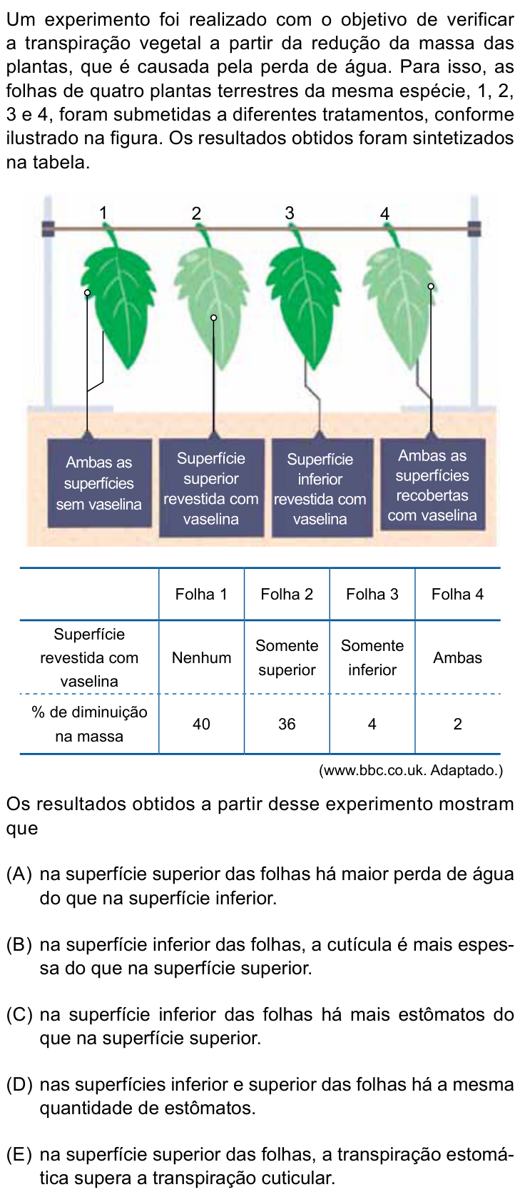 Questão 29 no caderno Prova I do Einstein 2026